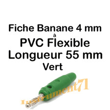  1 Fiche Banane Couleur Vert
