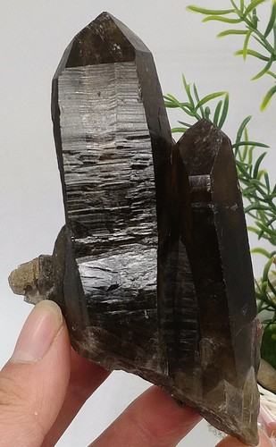 Puissant quartz noir fumé - puissant,