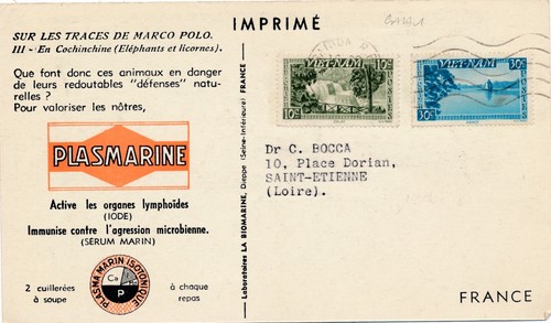 Carte imprimé plasmarine - imprimé,