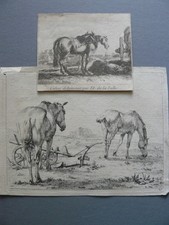 2GRAVURES 17eme " chevaux "
