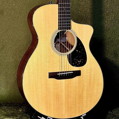 Guitare électrique acoustique