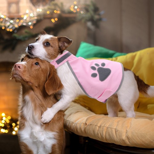 Gilet chasse pour chien - gilet, de