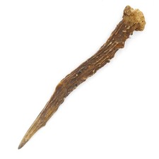 Bois de Cerf Longueur 17 CM