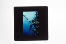 Jacques-Yves Cousteau promo photo 35mm slide #12