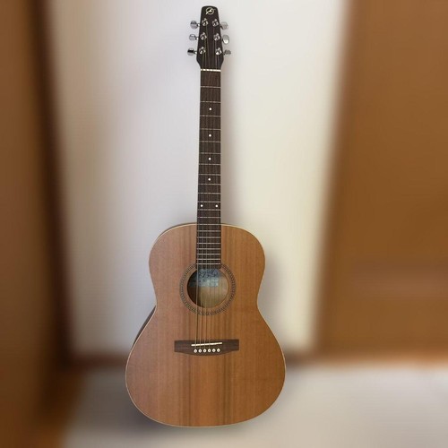 Seagull folk acoustic - seagull,