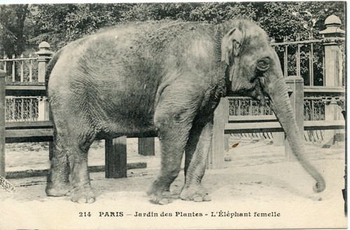 Carte postale paris jardin - paris,