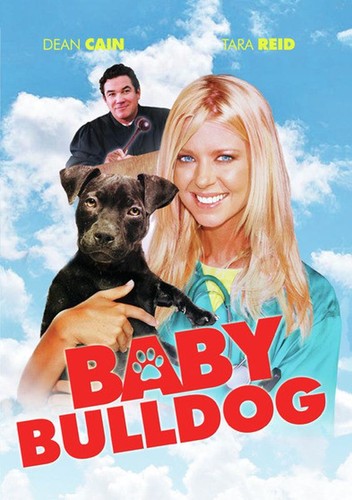 Baby bulldog - baby,