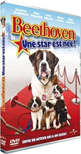 Dvd beethoven une star est - beethoven,