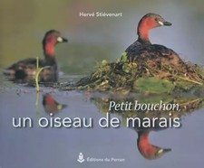 Petit bouchon, un oiseau de marais, Hervé Stiévenart et  Hugues Fanal