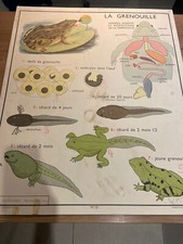 Carte Affiche Scolaire