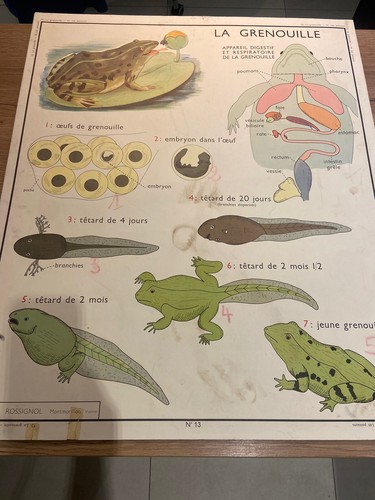 Carte affiche scolaire - carte,