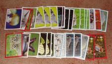 Comme animal lot 39 - lot,