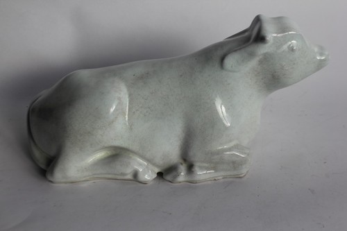 Vache couchée terre