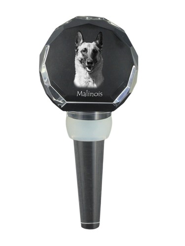 Malinois berger belge - malinois,