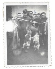 CAMP D INTERNEMENT G. COMAILLS TONNELIER NE A RIVESALTES (66) - CHASSE SANGLIER