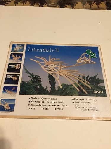 Lilienthalv wood puzzle - -,