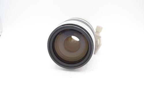 Canon 100 400mm - f/4.5-5.6, l