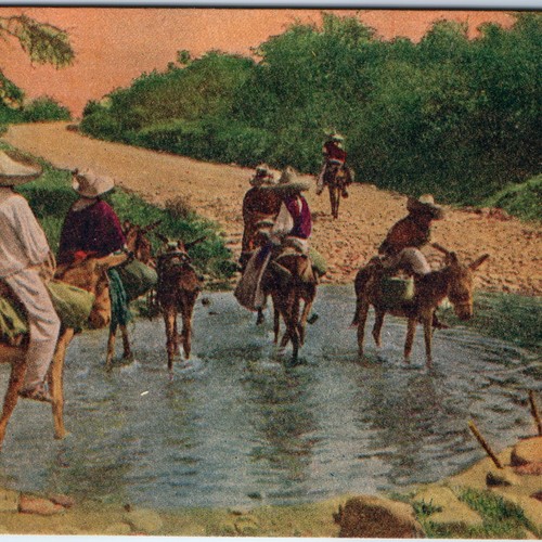 C1920s mexico donkeys crossing - c1920s,