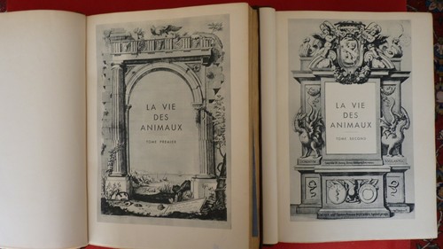Vie animaux par leon - animaux, bertin