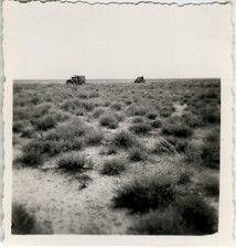 PHOTO ANCIENNE - VINTAGE