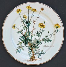 Sublime ASSIETTE PLATE signée