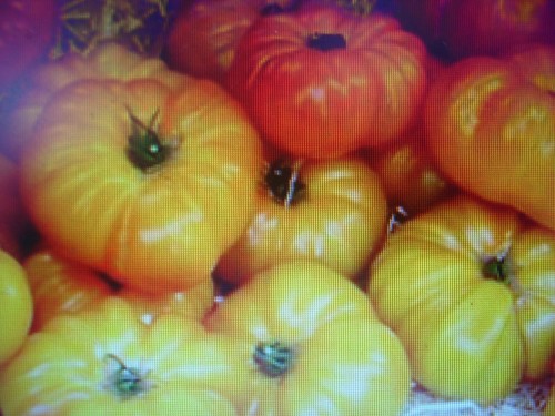 Graines tomate ananas - de,