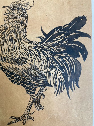 Beau dessin xixe - dessin, coq