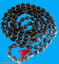 Graine de Lotus Religieuse Original Kamal Gatta Japa Mala 108 Perles Prière H...