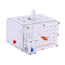 Nid de fourmis, jouets