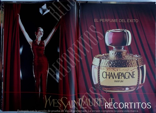 Clip 2573 champagne yves saint - 2573,