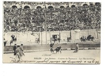 Arles les arenes - 13, course