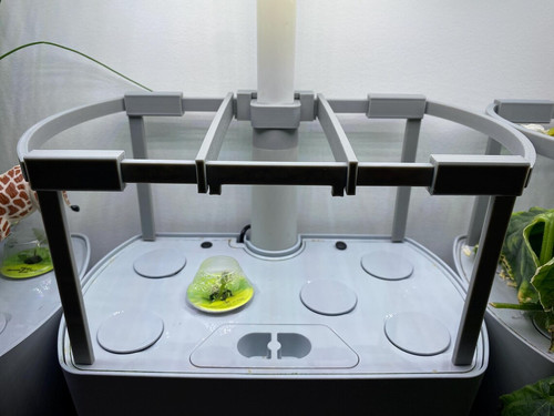 Aerogarden harvest trellis - harvest,