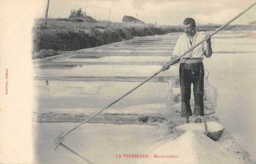 Cpa tremblade marais - 17, la