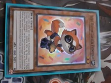 Bébé Raton Laveur Ponpoko