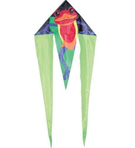 Grand cerf volant - grand, enfant