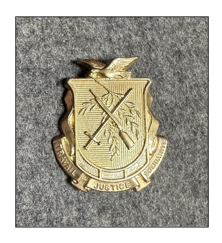 Insigne guinée afrique casque - guinée,