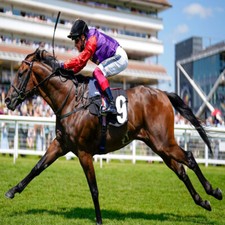 Méthode de TURF:  TRISTAR de