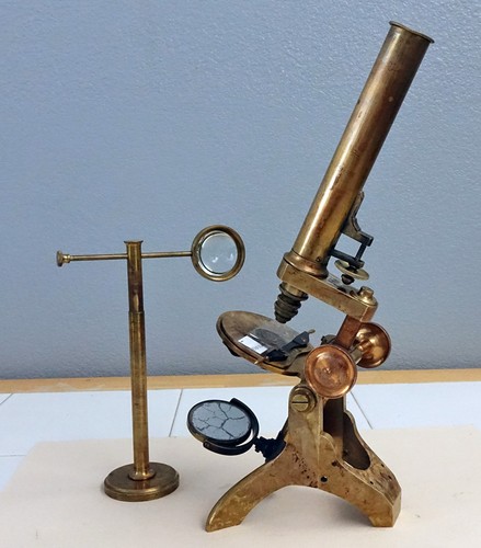 Arnold sons london antique - &,