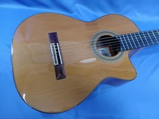 Guitare électrique acoustique