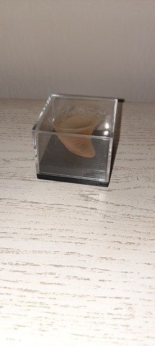 Ancienne miniature eau - miniature,