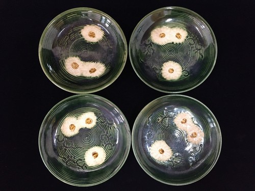 S0057 lot assiettes en - 4,