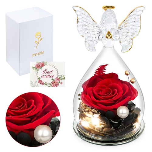 Rose éternelle sous - rose, cloche