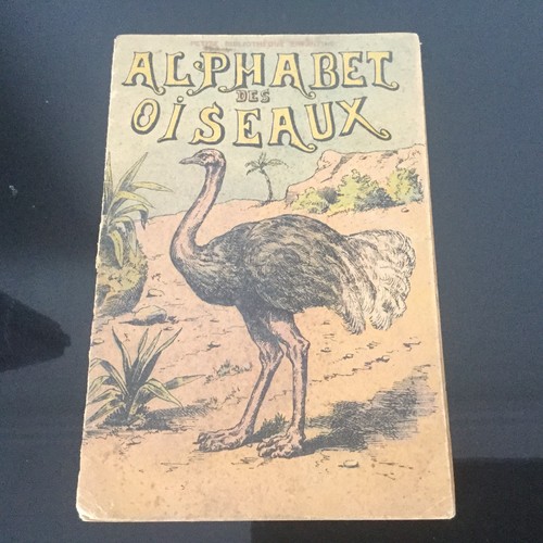 Livre ancien alphabet - livre,