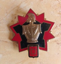 insigne Génie - Personnels non enregistré du Génie FFA - DRAGO G 2116