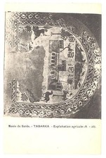 CPA TUNISIE - Musée du Bardo - TABARKA - Exploitation agricole (A - 26)