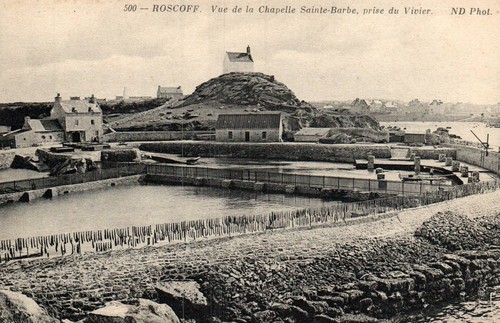Cpa roscoff - 29, (finistère)