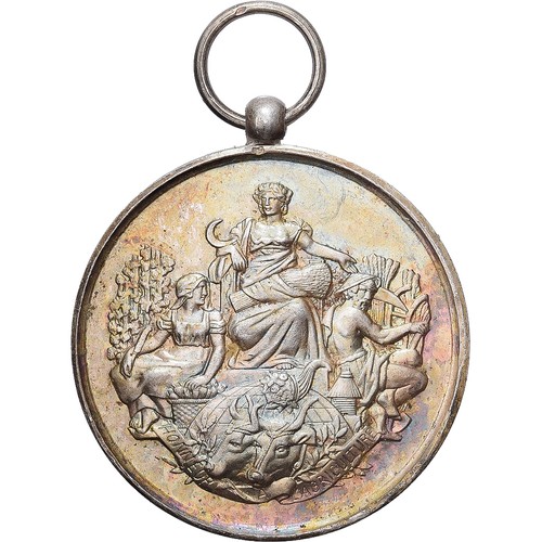 France médaille société - france,,