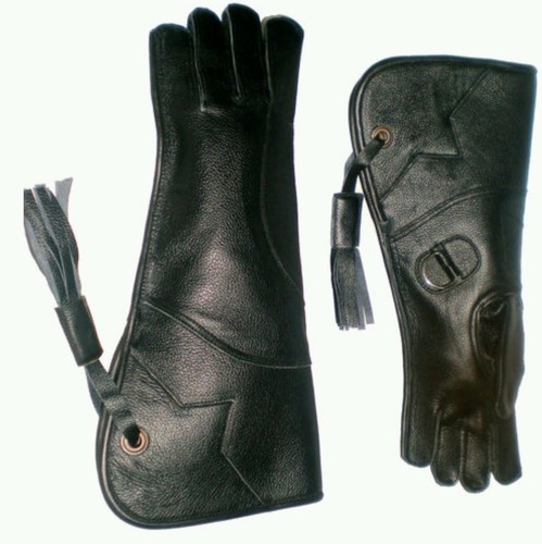 Aigle fauconnerie gant - aigle, 4