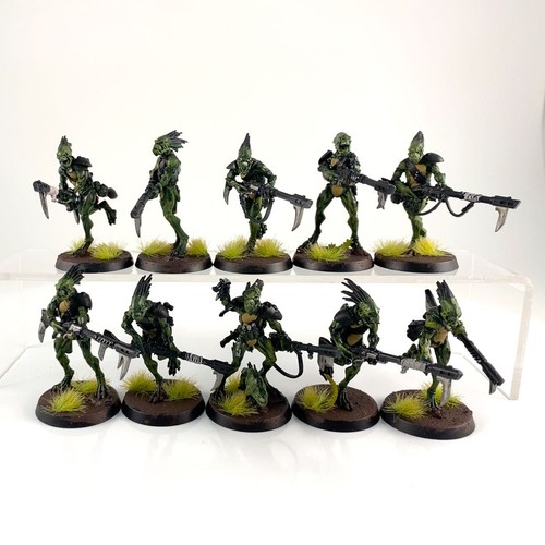 X10 carnivores kroots - x10,