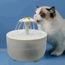 Fontaine Eau  Animal Chat Électrique USB Distributeur 1.2L Filtrant
